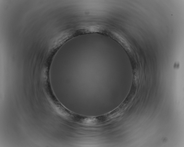 X0000091510410200708171200
