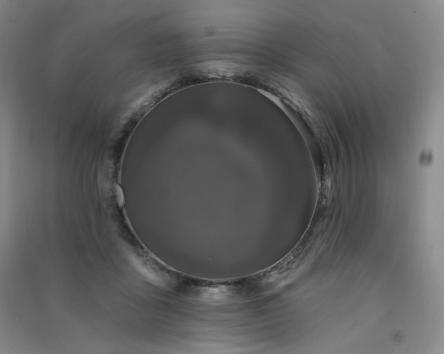 X0000091510411200708171200