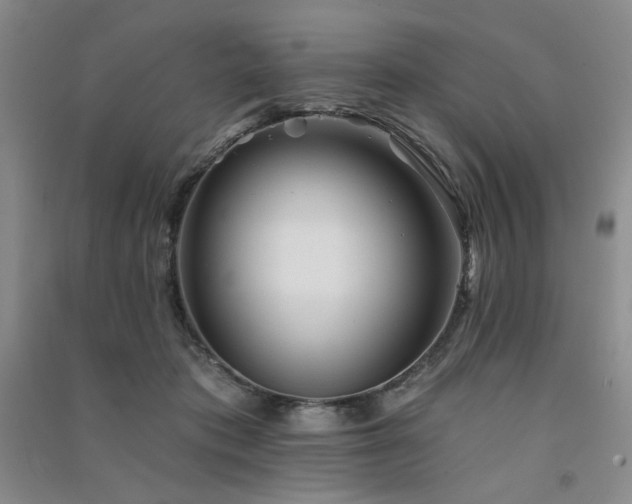 X0000091510413200708171200