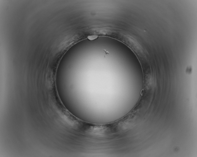 X0000091510414200708171200