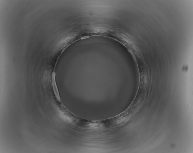 X0000091510415200708171200