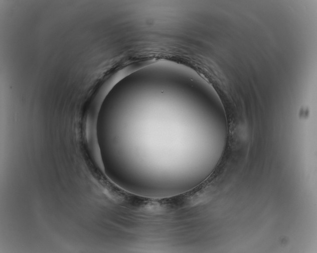 X0000091510416200708171200