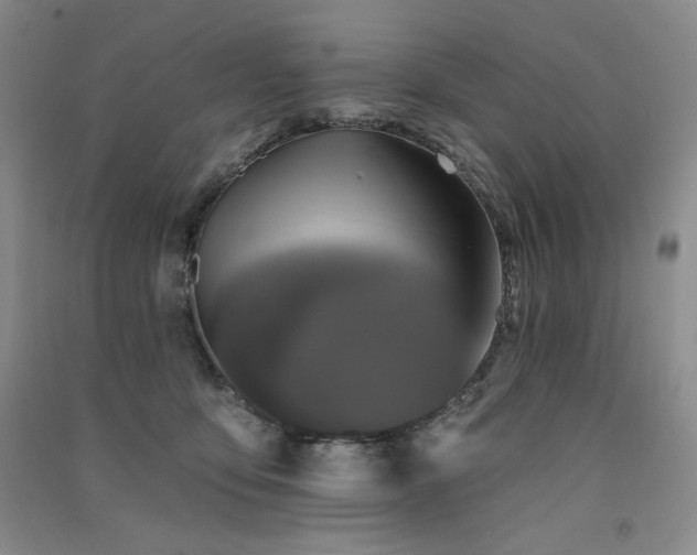 X0000091510419200708171200