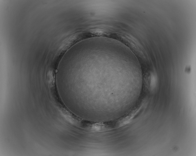 X0000091510420200708171200