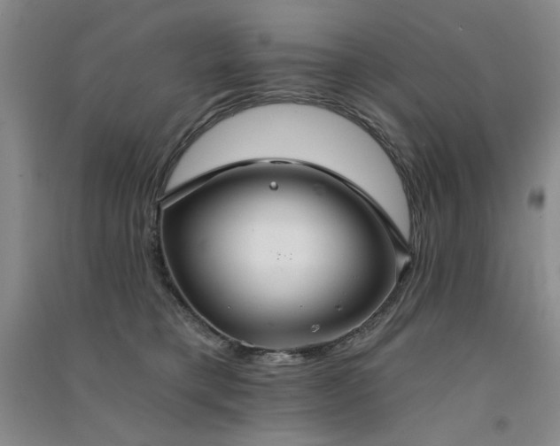 X0000091510421200708171200