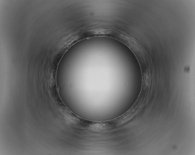 X0000091510422200708171200