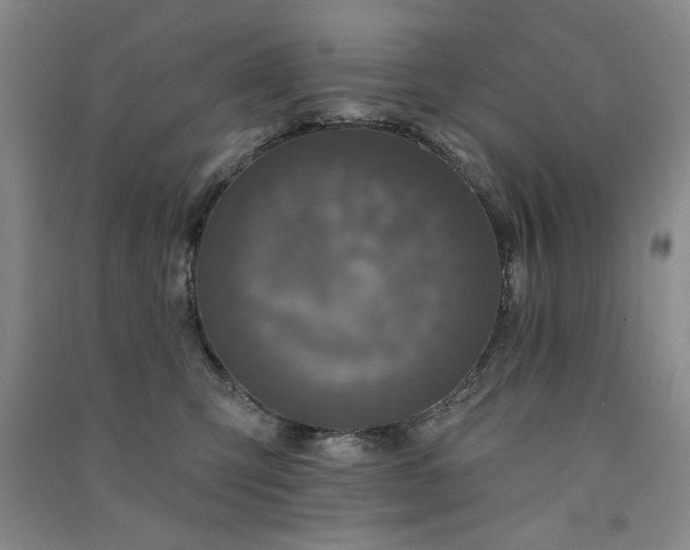 X0000091510423200708171159
