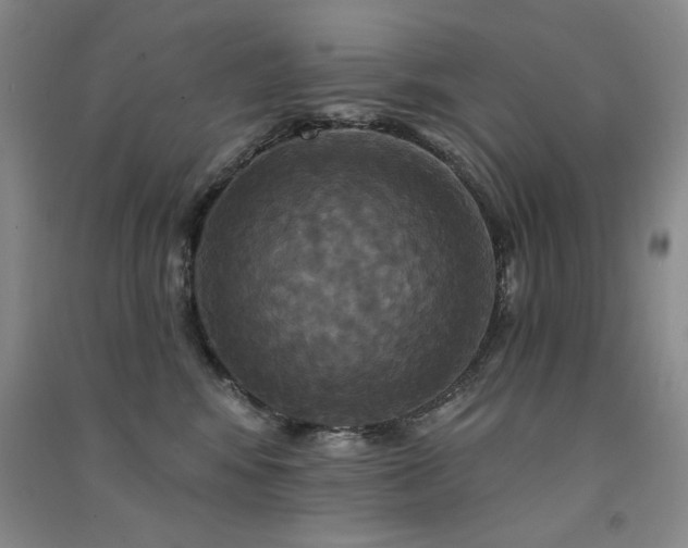 X0000091510424200708171159