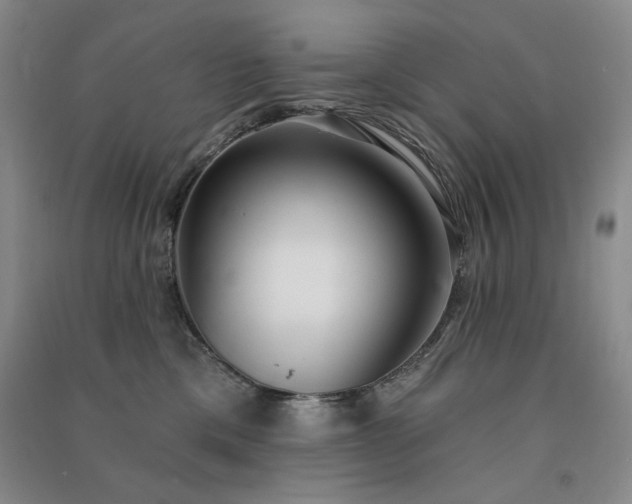 X0000091510425200708171159