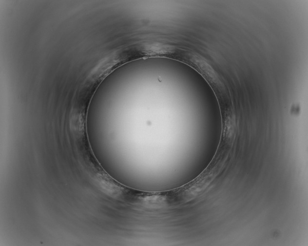 X0000091510426200708171159