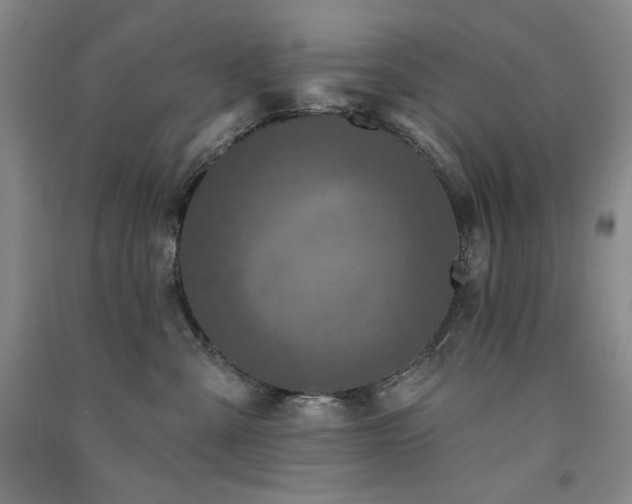 X0000091510427200708171159