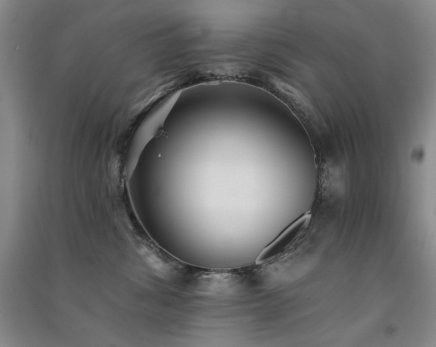 X0000091510428200708171159
