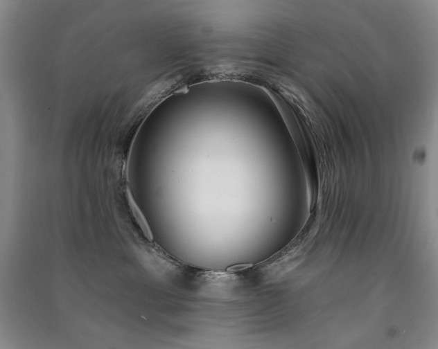 X0000091510429200708171159