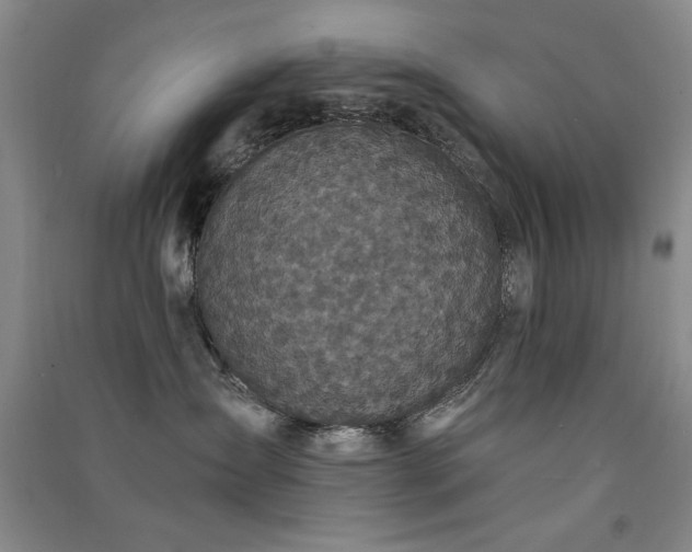 X0000091510431200708171159
