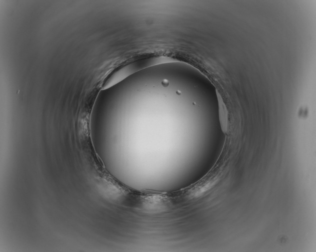 X0000091510432200708171159