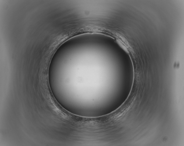 X0000091510433200708171159