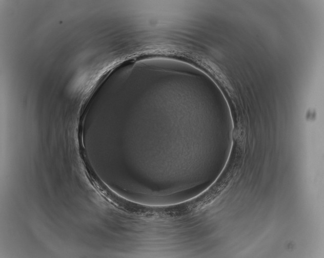 X0000091510434200708171159