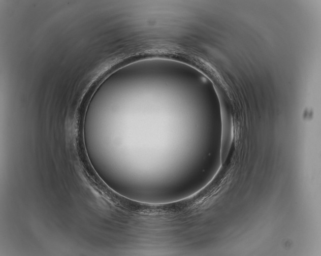 X0000091510435200708171159
