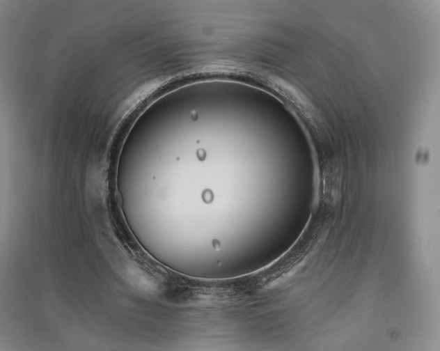 X0000091510436200708171159