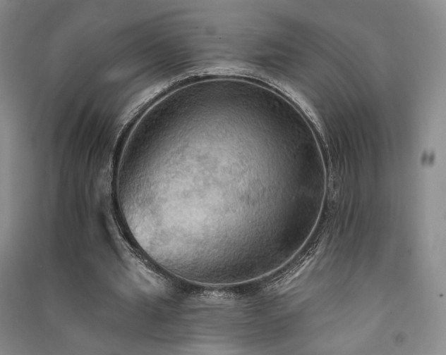 X0000091510437200708171159