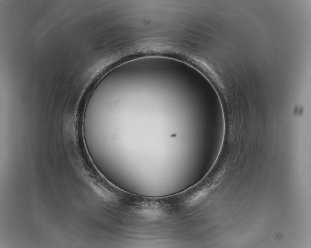 X0000091510439200708171159