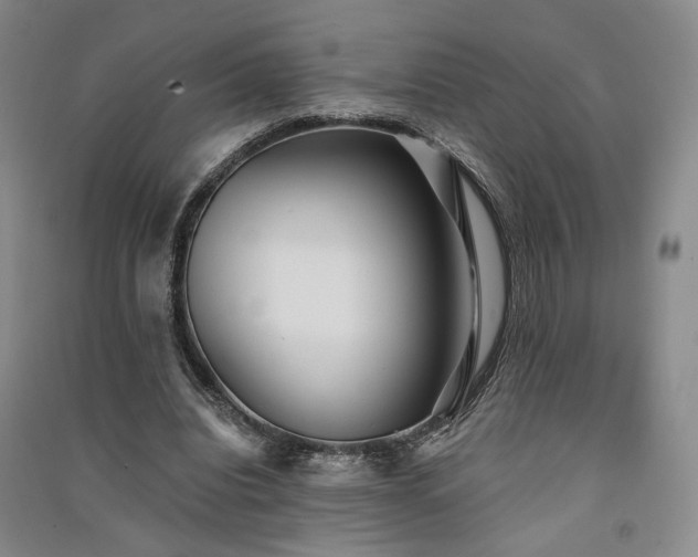 X0000091510440200708171159