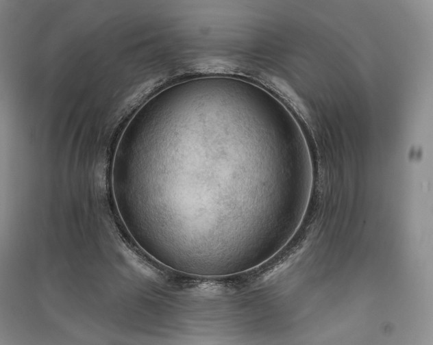 X0000091510441200708171159