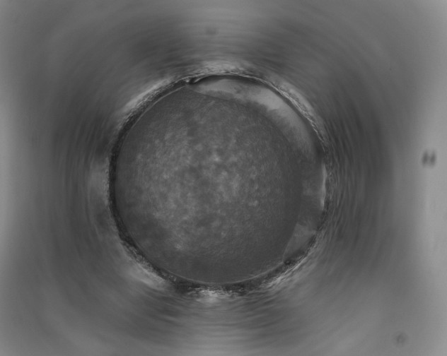 X0000091510442200708171159