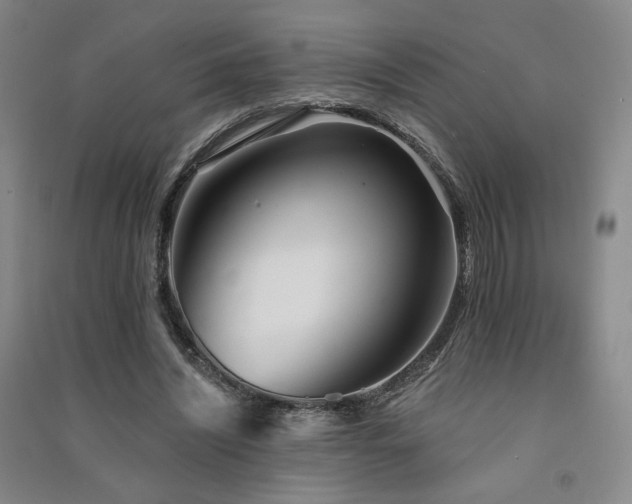 X0000091510444200708171159