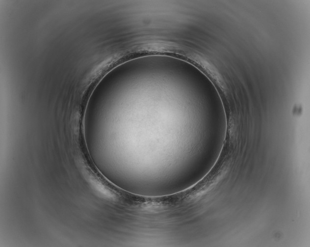 X0000091510445200708171159