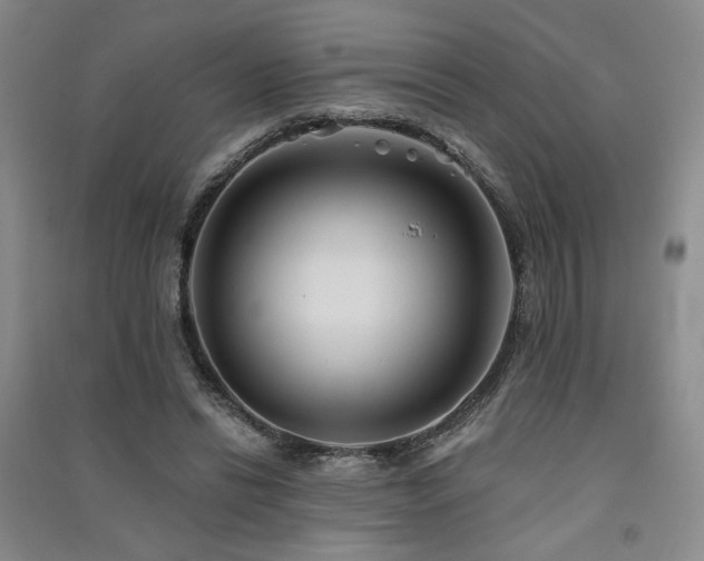 X0000091510446200708171159