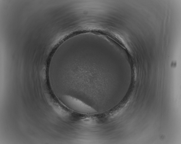 X0000091510447200708171159