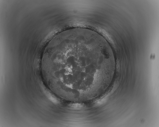 X0000091510449200708171159
