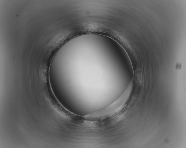 X0000091510450200708171159
