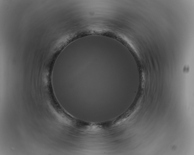X0000091510451200708171159