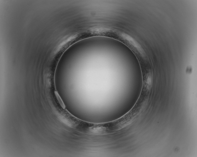 X0000091510452200708171159