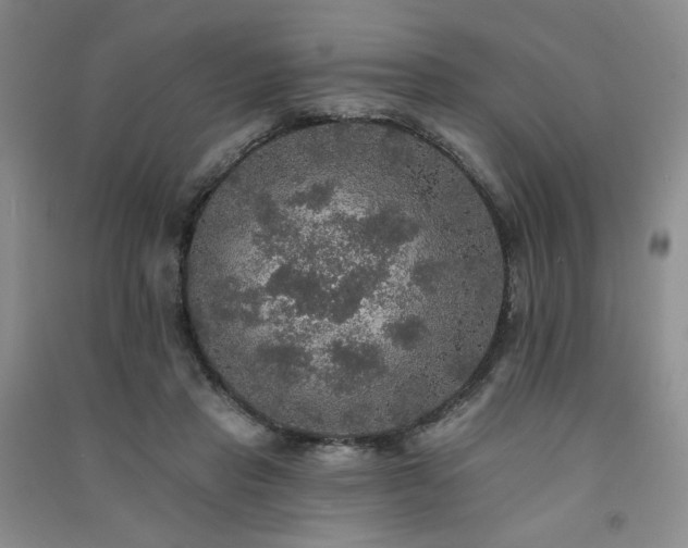 X0000091510453200708171159