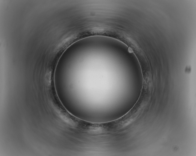 X0000091510454200708171159