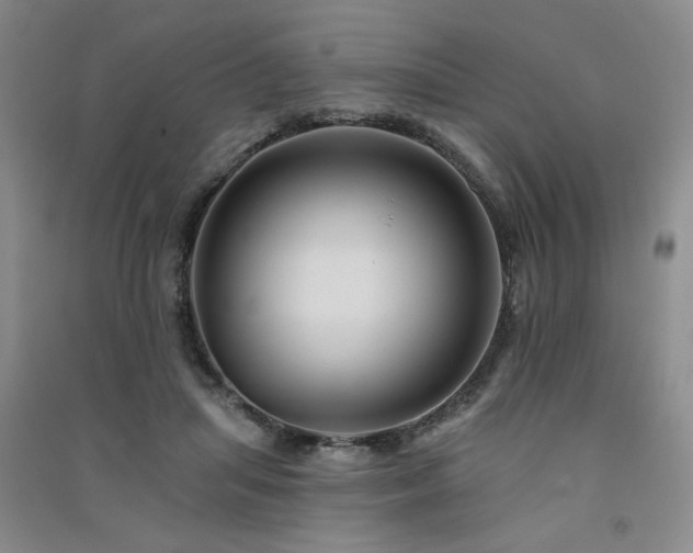X0000091510455200708171159