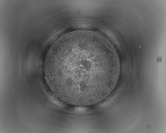 X0000091510457200708171159