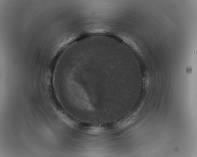X0000091510458200708171159