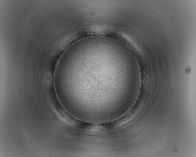 X0000091510459200708171159