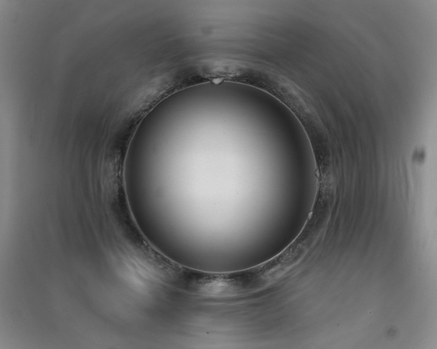 X0000091510460200708171159
