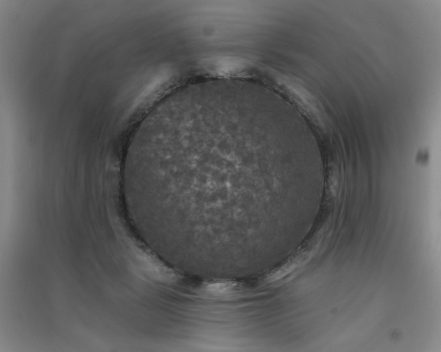X0000091510461200708171159