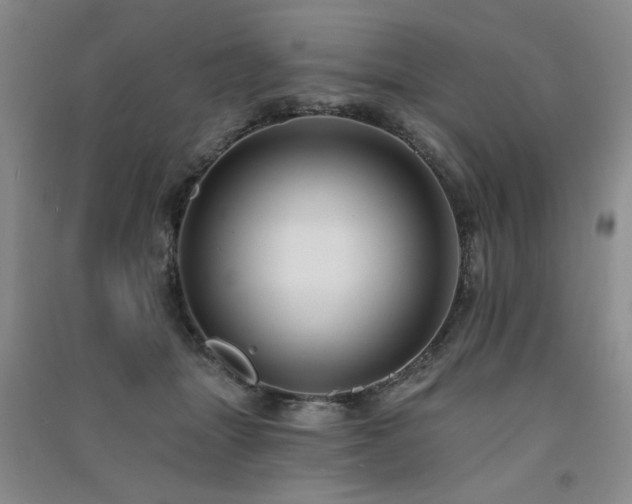 X0000091510463200708171159