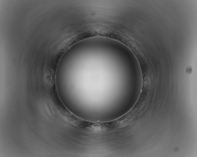 X0000091510464200708171159