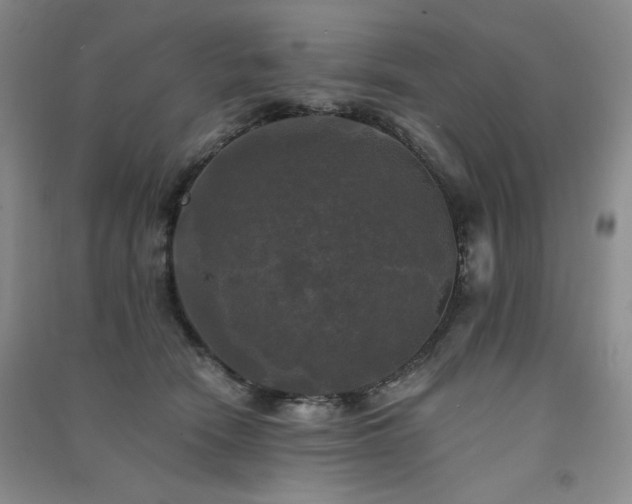 X0000091510466200708171159