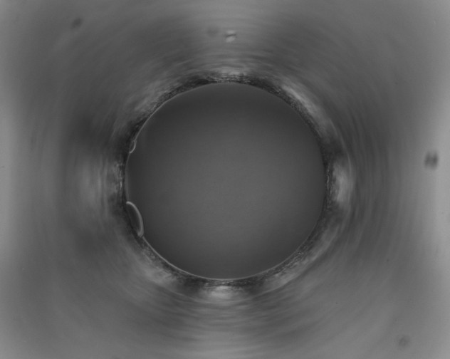 X0000091510467200708171159
