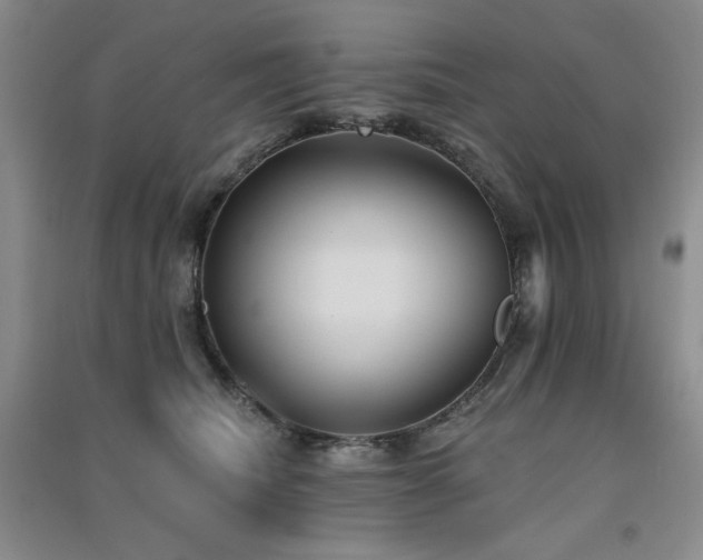 X0000091510468200708171159