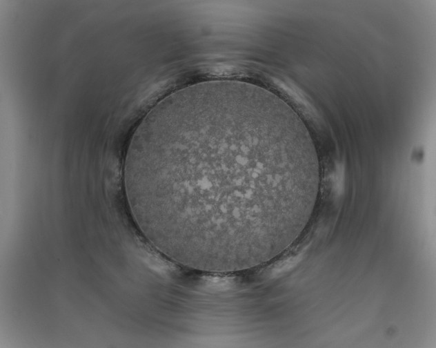 X0000091510469200708171159